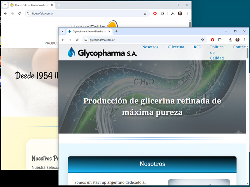 Diseñados bajo el formato OnePage para ofrecer navegación ágil, estética moderna y comunicación clara.